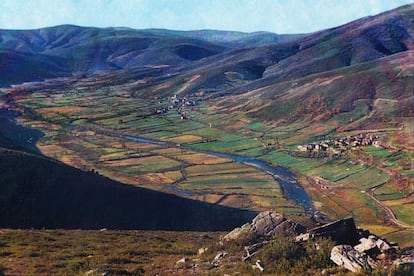 Veigas de Camba