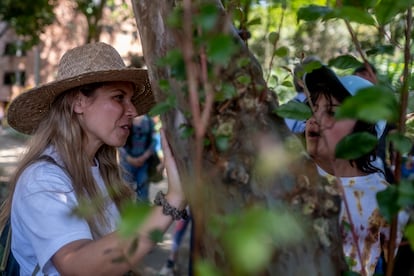 Verónica Botero, creadora del recorrido de naturaleza y alimentos urbanos que termina en un picnic, en Medellín, Colombia.