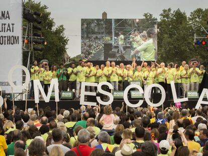 Manifestaci&oacute;n en defensa de la inmersi&oacute;n, en 2014.