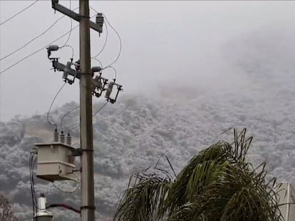 Un cerro cubierto de nieve en la localidad de Santiago, en Nuevo León.