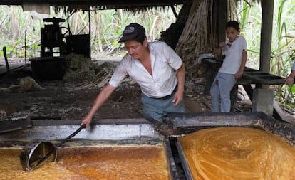 Un programa de formación para obtener otros productos de la caña de azúcar en Ecuador.