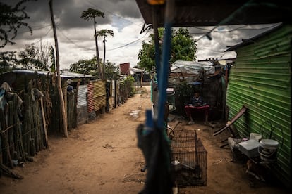 Joven mira su celular en uno de los asentamientos de La Guajira en Colombia. 