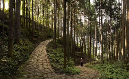 El sendero de Nakasendo, entre Magome y Tsumago (Japón).