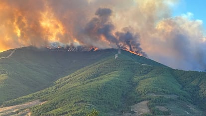 Fire on the wooded mountain of the Alquería de la Huerta, in Caminomorisco, province of Cáceres, in an image of the Board of Extremadura.