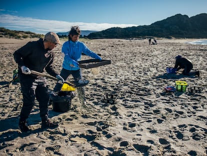 Un grupo de voluntarios limpiaba el domingo la arena de 'pellets' de plástico en la playa de Area Maior, en Muros (A Coruña).