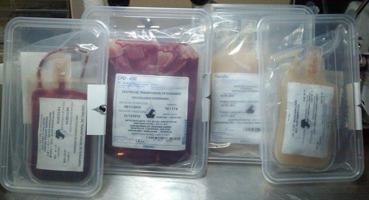 Bolsas de sangre que comercializaba el detenido en una imagen de su página web, ahora borrada.