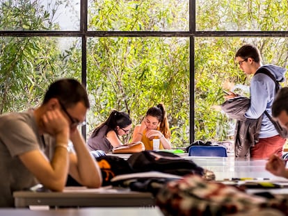 La Facultad de Ciencias de la Universidad de Granada, que acoge a cientos de 'erasmus'.