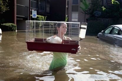 Una mujer rescata a un conejo que fue encontrado flotando en su jaula después del paso del huracán Harvey, en Houston (Texas).