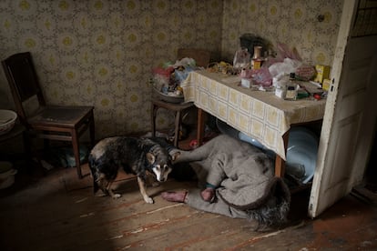 Un perro junto al cadáver de una anciana asesinada en el interior de una vivienda en Bucha, en las afueras de Kiev, Ucrania, el 5 de abril de 2022.