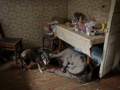 Un perro junto al cadáver de una anciana asesinada en el interior de una vivienda en Bucha, en las afueras de Kiev, Ucrania, el 5 de abril de 2022.