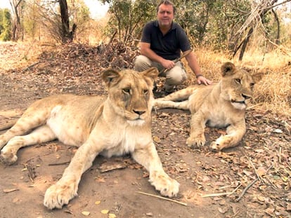 Camina con leones (en vez de matarlos)