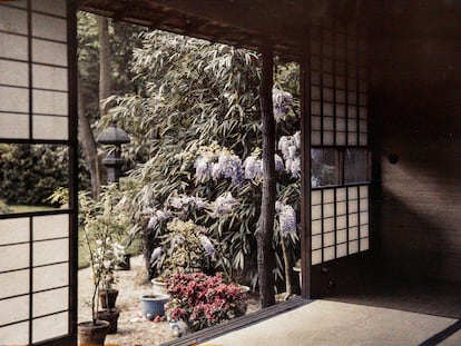 ‘Glicinia y azalea, vista desde la casa este del pueblo japonés’ (1925).