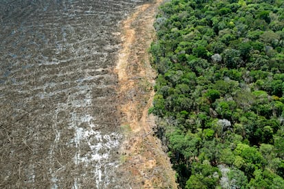 Foto aérea tirada em 07 de agosto de 2020 de uma área desmatada próxima a Sinop, Estado de Mato Grosso, Brasil.