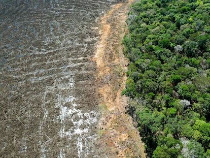 Vista aérea de floresta amazônica desmatada em Sinop, no Mato Grosso.