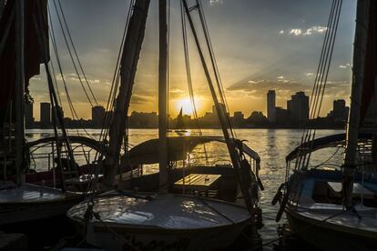 Barcos egipcios tradicionales conocidos como 'falukas' atracados en el ro Nilo, en El Cairo, Egipto.