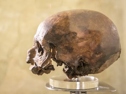 Vista del cráneo del Papa Luna en el Alma Mater Museum de Zaragoza en la exposición "El Papa Luna: saber, diplomacia y poder en la Europa medieval" para conmemorar el 600 aniversario de la muerte del pontífice.