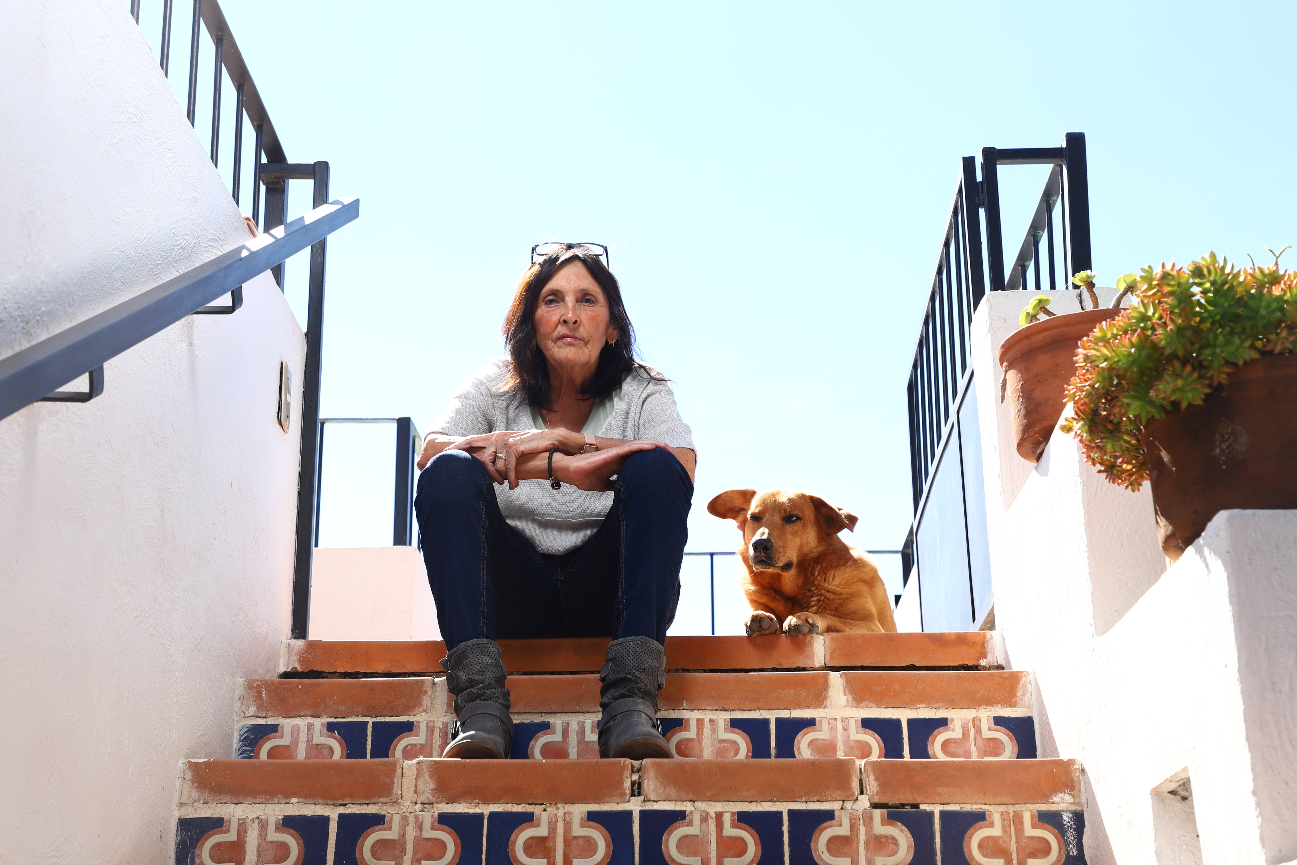 Rossana Reguillo: la narradora del horror