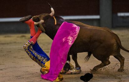 El novillero Antonio Puerta durante la grave cogida que sufrió ayer en Las Ventas.
