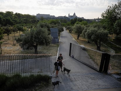 Reapertura de algunas zonas verdes de Madrid en el comienzo de la fase 1.
