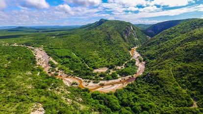 <a href="https://www.unesco.org/es/articles/la-unesco-designa-ocho-nuevos-geoparques-mundiales-0" target="_blank">Según detalla la Unesco</a> en la nota de prensa, dos de los nuevos geoparques mundiales están en América Latina y seis en Europa. Debido a las restricciones por la covid, este año no han podido evaluar nuevas solicitudes de Asia, África ni de la región árabe, pero añade que están en marcha varios proyectos para la creación de nuevos geoparques en estas partes del mundo. <br></br> “En el nuevo geoparque mundial de Seridó viven más de 120.000 habitantes, entre los que se encuentran comunidades como los quilombolas, que mantienen viva la memoria de sus antepasados esclavizados de África y preservan su cultura mediante prácticas tradicionales, museos y centros culturales”, destaca la Unesco. Sus 2.800 kilómetros cuadrados acogen una biodiversidad geológica única: este lugar es testimonio de los últimos 600 millones de años de la historia de la Tierra y alberga una de las mayores mineralizaciones de scheelita de Sudamérica, un importante mineral de wolframio, así como coladas de basalto procedentes de la actividad volcánica de las eras mesozoica y cenozoica y la ‘caatinga’ (“bosque blanco” en lengua tupí), una ecorregión marcada por una flora subtropical específica y que es el único bioma exclusivamente brasileño —lo que significa que gran parte de su patrimonio biológico no se encuentra en ningún otro lugar del planeta—. Más información: <a href="https://geoparqueserido.com.br/"target="_blank">geoparqueserido.com.br</a>