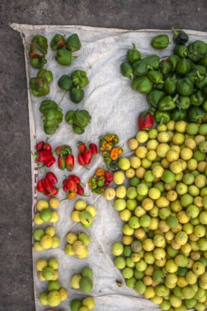Frutas y verduras dispuestas sobre una tela en el mercado de Sor de Saint Louis.