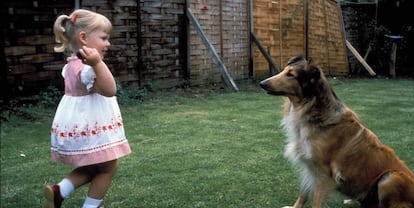 Louise Brown, primeiro bebê de proveta, aos três anos, em janeiro de 1981, no Reino Unido.