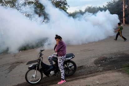 A woman covers her nose and mouth while a fumigation campaign against dengue is carried out in Rosario, Argentina, on April 4.
