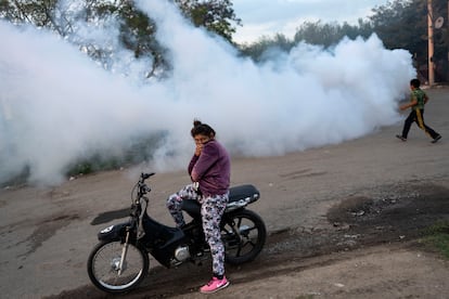 Una mujer se cubre la nariz y boca mientras se lleva a cabo una campaña de fumigación contra el dengue, en Rosario, Argentina, el 4 de abril. 