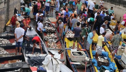 Os comerciantes vendem peixe no mercado de Manaus.