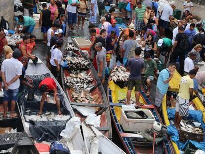 Os comerciantes vendem peixe no mercado de Manaus.