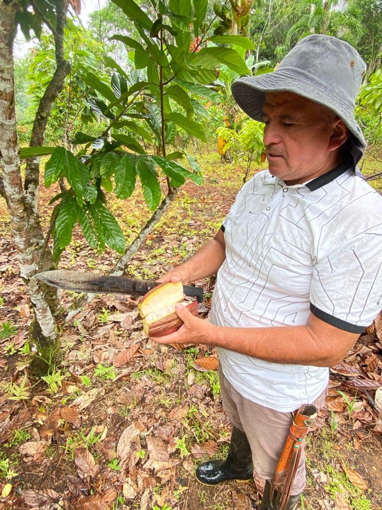 Un antiguo raspachín de hoja de coca reconvertido en productor de cacao.