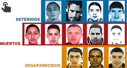 GRÁFICO: Componentes de la célula terrorista