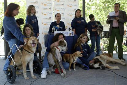 Miembros de <i>El Refugio</i> posan, junto a varios animales, tras la presentación del estudio.