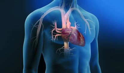 El 30% de los fallecimientos que se producen en España se deben a enfermedades cardiovasculares.