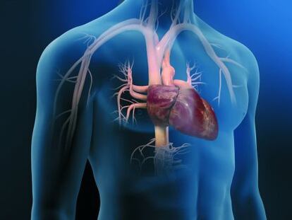 El 30% de los fallecimientos que se producen en Espa&ntilde;a se deben a enfermedades cardiovasculares. 
