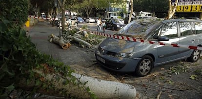 Árbol caído esta mañana en la calle de la Costa Brava, 40.