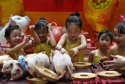 Un grupo de niñas juega con minicerdos, animales domésticos poco comunes, durante el inicio de las celebraciones del Año Nuevo Lunar, el 1 de febrero de 2019, en Manila, Filipinas.