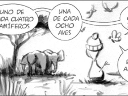 RAMÓN