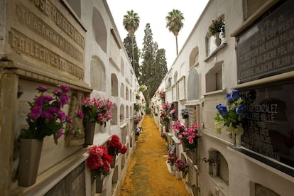 Calle de nichos en el cementerio de San Fernando.