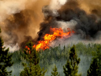 Donnie Creek wildfire in Fort St. John, British Columbia (Canada) on July 2, 2023.