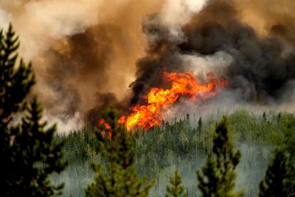 Donnie Creek wildfire in Fort St. John, British Columbia (Canada) on July 2, 2023.