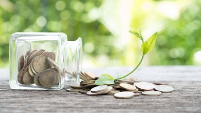 ¿Cómo será la recuperación económica?