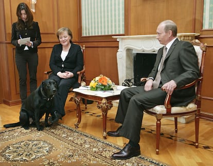 Merkel recuerda en sus memorias que tiene miedo a los perros, hecho que conocía el presidente ruso cuando llevó a su labrador 'Koni' a una sesión de fotos. "Por la expresión de Putin interpreté que estaba disfrutando la situación, así que me pregunté: ¿Solo quiere ver cómo reacciona una persona en apuros? ¿Se trata de una pequeña demostración de poder? (...) Cuando todo terminó, no le comenté nada a Putin, sino que como he hecho con frecuencia en mi vida, seguí la regla de la nobleza inglesa: 'Never complain, never explain' (‘Nunca quejarse, nunca dar explicaciones’)".