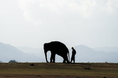 Biodiversity