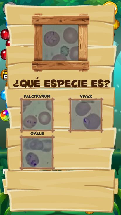 Un juego desarrollado por el mismo equipo, Malaria Spot Bubbles, permite a los jugadores tratar de identificar las cinco clases del parásito 'Plasmodium', causante de la malaria. Los más comunes son el 'Falciparum', mayoritario en África, y el 'Vivax', presente en otros continentes y que, según la OMS, contribuye con cerca de la mitad de todos los casos, la mayoría en Asia sudoriental.