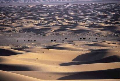 Desierto del Sahara en Zagora (Marruecos).