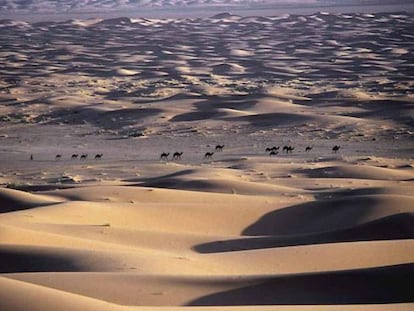 Desierto del Sahara en Zagora (Marruecos).