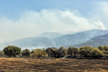 Columnas de humo sobre los montes en el incendio en Jarilla (Cáceres), el jueves.