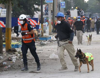 Brigadistas y voluntarios exhaustos continúan con las labores de rescate en los edificios colapsados en Ciudad de México el 20 de septiembre de 2017, en Ciudad de México (México).  