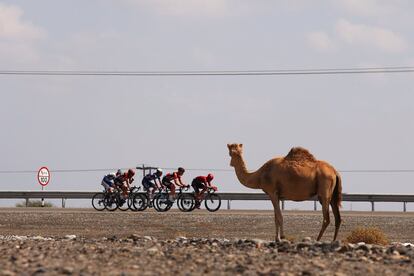 Un grupo de ciclistas escapados del pelotón durante la tercera etapa de la Vuelta a Omán.